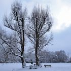 Winterlandschaft in Oberschwaben