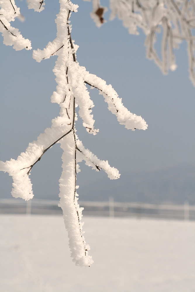 Winterlandschaft in Öfingen im Schwarzwald