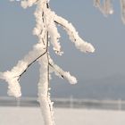 Winterlandschaft in Öfingen im Schwarzwald