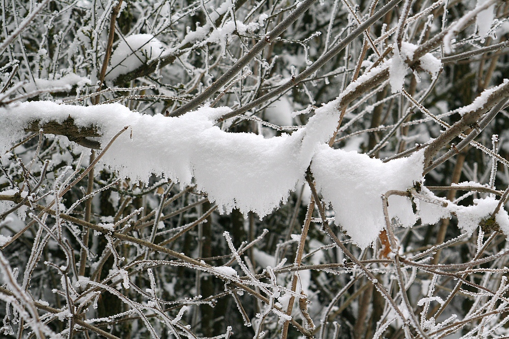 Winterlandschaft in Öfingen im Schwarzwald