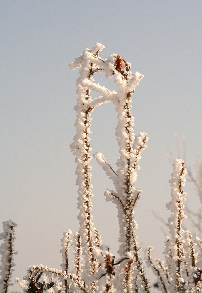 Winterlandschaft in Öfingen im Schwarzwald