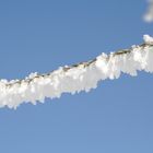 Winterlandschaft in Öfingen im Schwarzwald