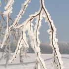 Winterlandschaft in Öfingen im Schwarzwald