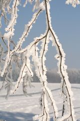 Winterlandschaft in Öfingen im Schwarzwald