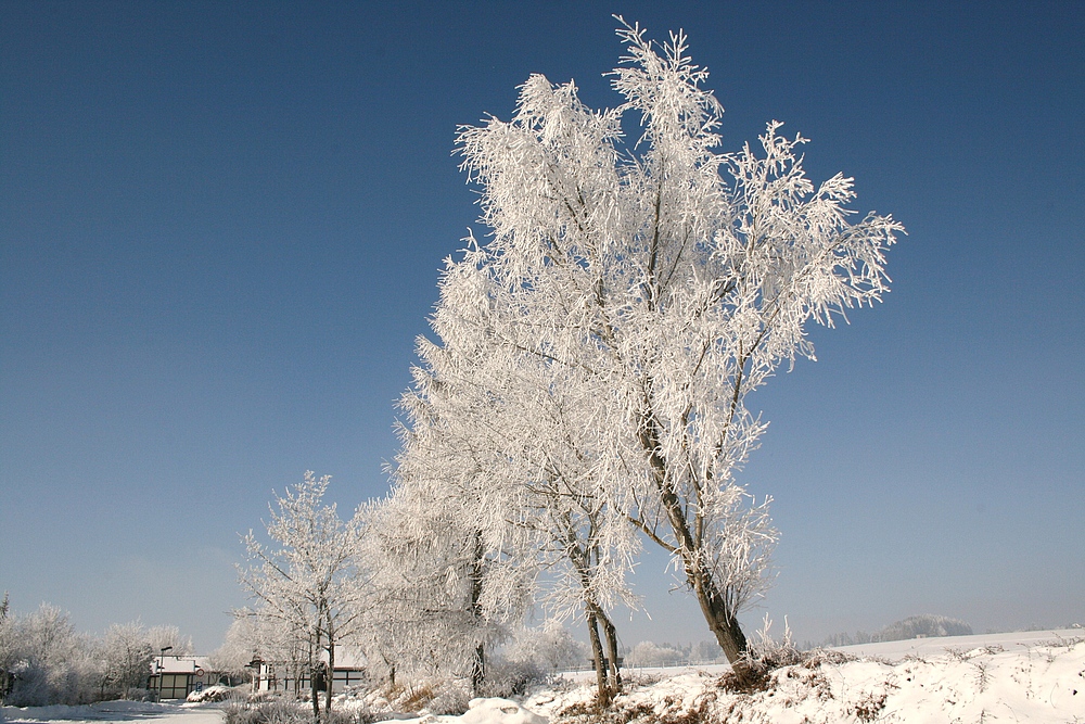 Winterlandschaft in Öfingen im Schwarzwald