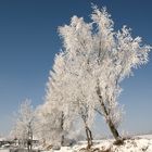 Winterlandschaft in Öfingen im Schwarzwald