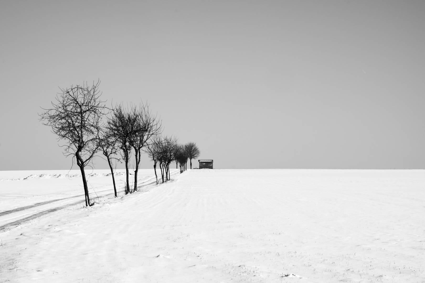 Winterlandschaft in OWL