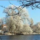 Winterlandschaft in Plön am 22. Januar 2016