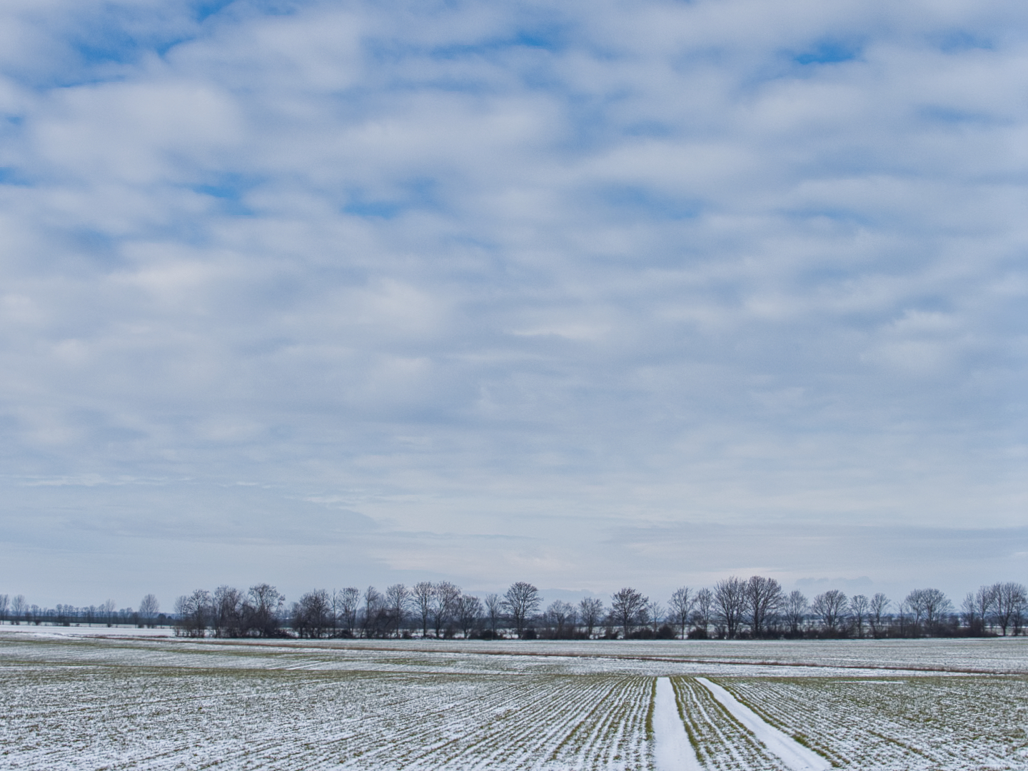 Winterlandschaft in Sachsen-Anhalt