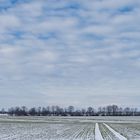 Winterlandschaft in Sachsen-Anhalt