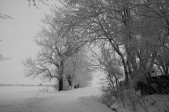 Winterlandschaft in schwarz-weiß (1)