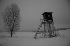 Winterlandschaft in schwarz-weiß (5)