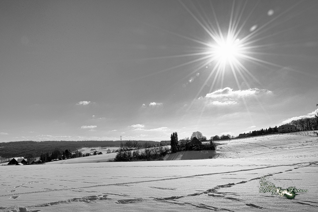 Winterlandschaft in Schwarzweiß