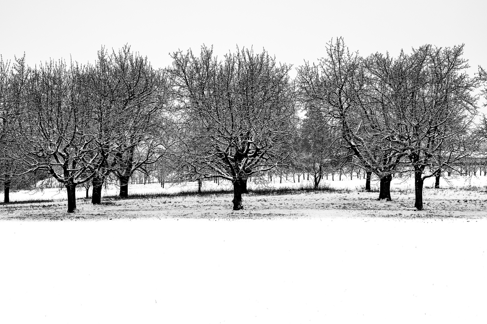 Winterlandschaft in S/W