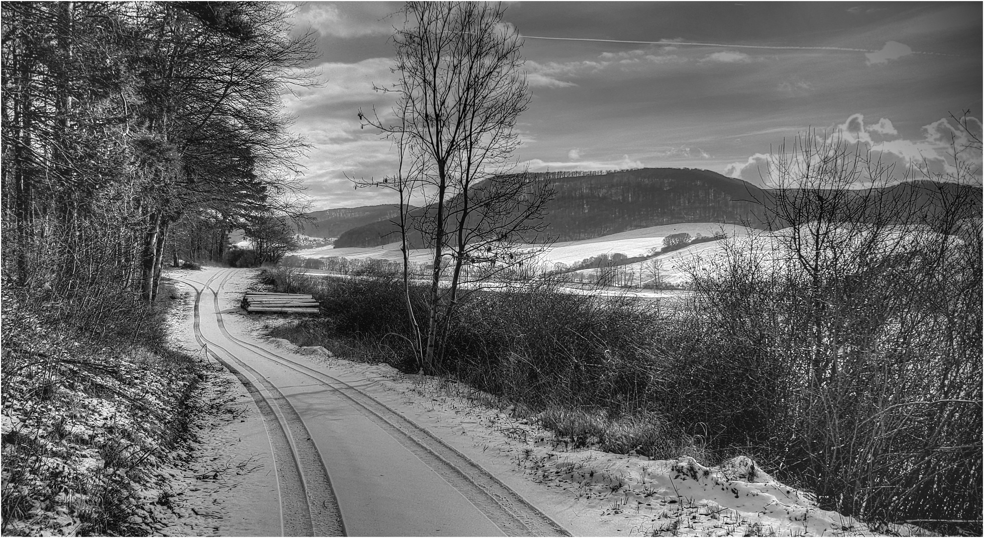 Winterlandschaft in S/W