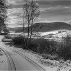 Winterlandschaft in S/W