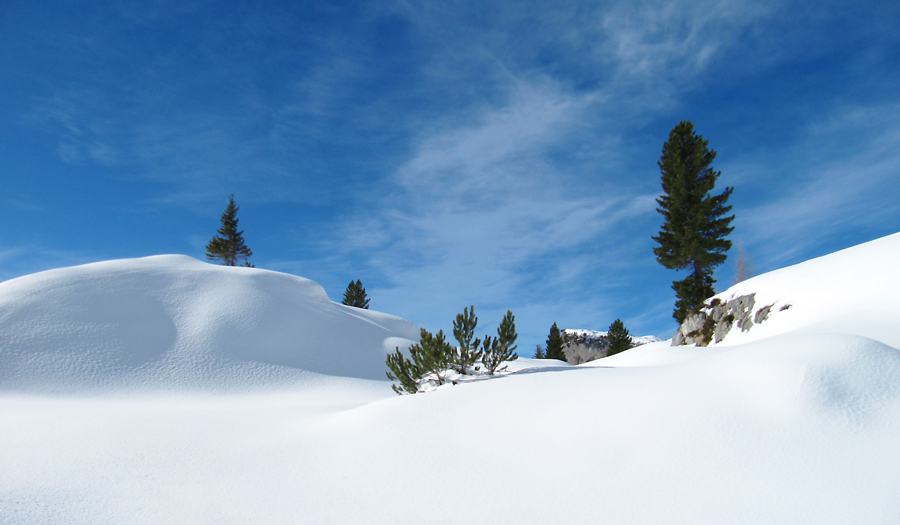 Winterlandschaft in Tirol