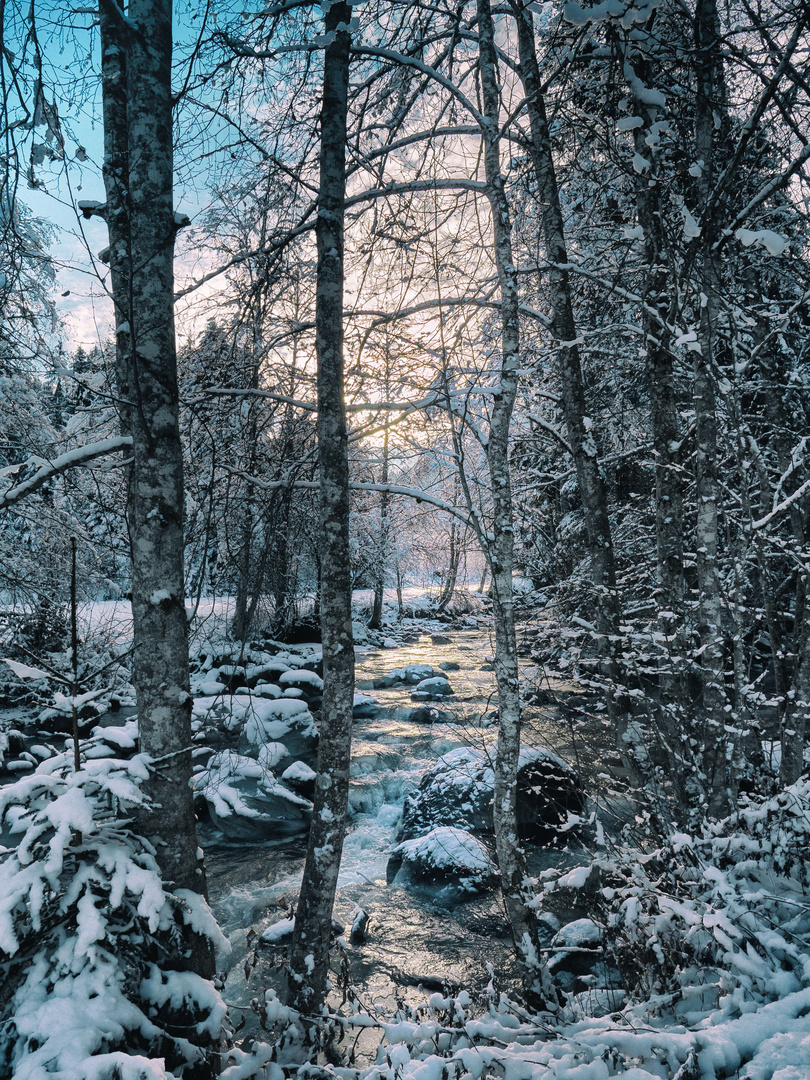 Winterlandschaft in Tirol