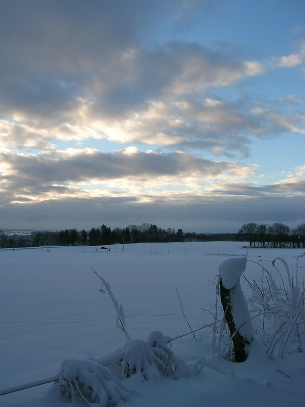 Winterlandschaft IV