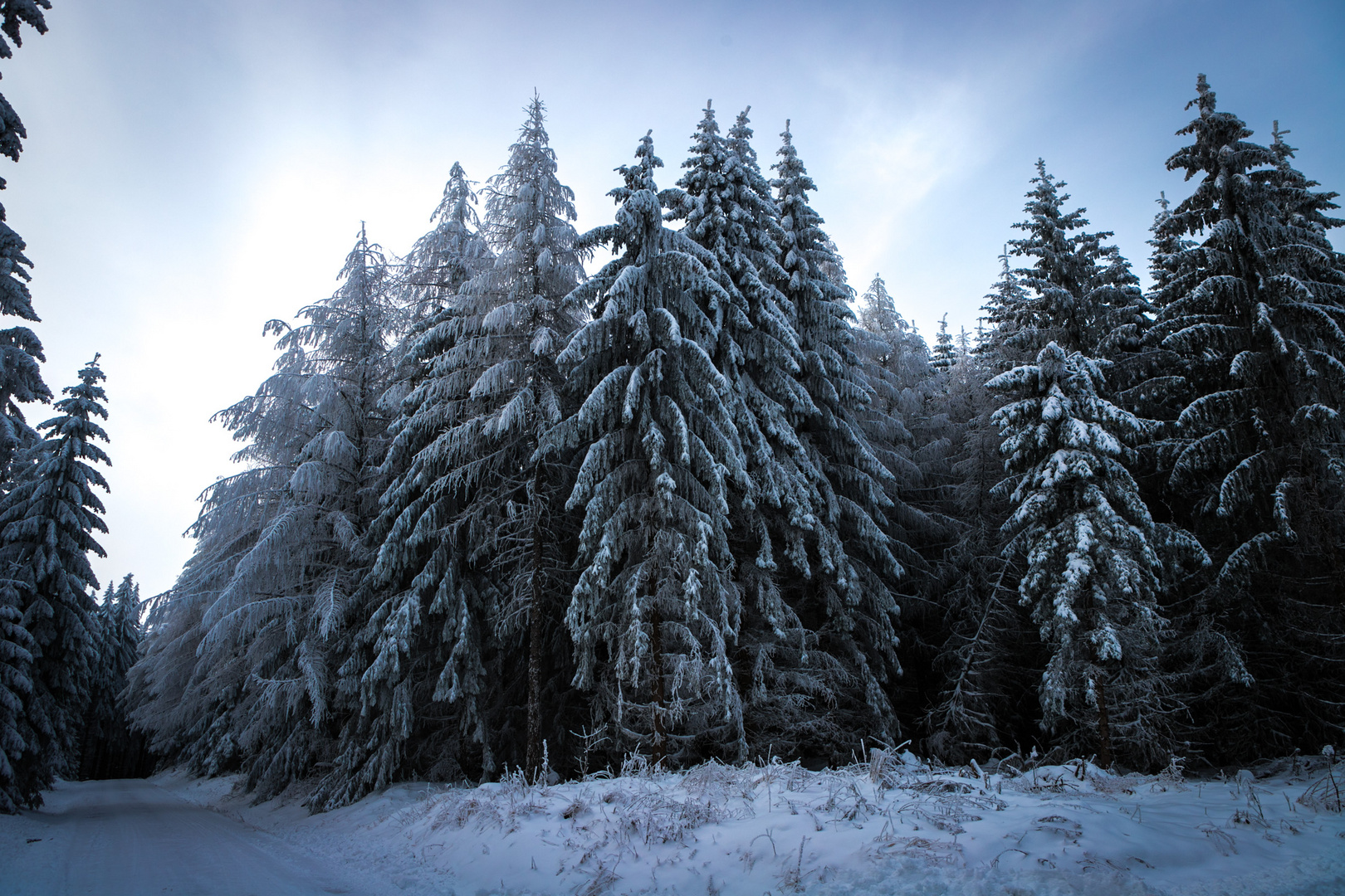 Winterlandschaft IV: Kältestarre