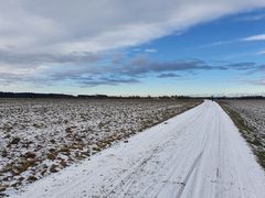 Winterlandschaft Jan. 2021