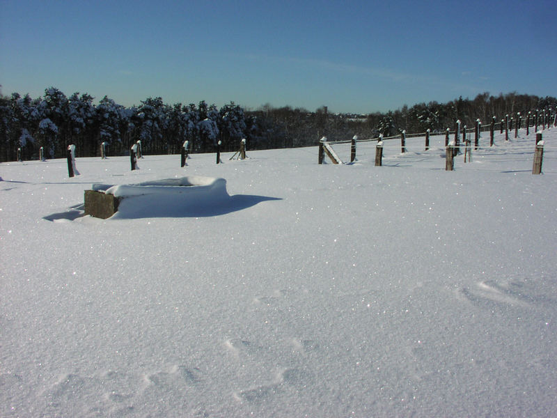 Winterlandschaft Kleiner Donnersberg 1