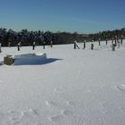 Winterlandschaft Kleiner Donnersberg 1