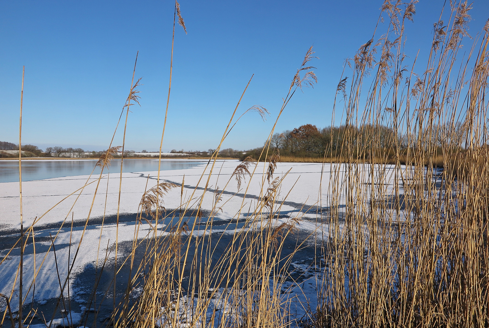 Winterlandschaft Lebrader Teiche