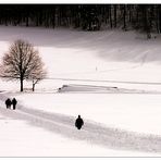 Winterlandschaft lebt...