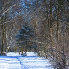 Winterlandschaft ....light (((