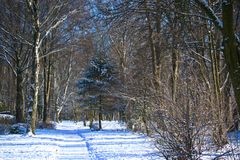 Winterlandschaft ....light (((