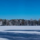 Winterlandschaft - Lüneburger Heide