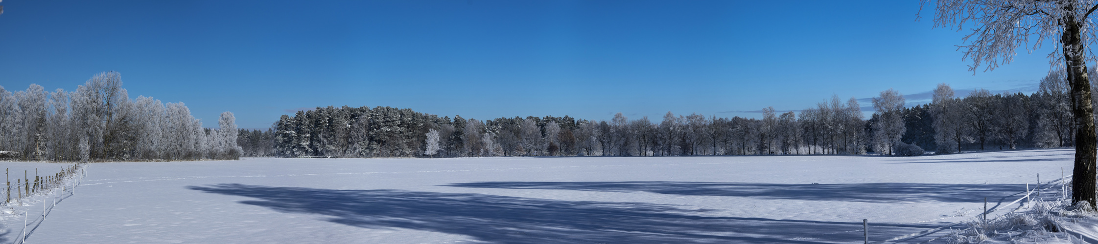 Winterlandschaft - Lüneburger Heide