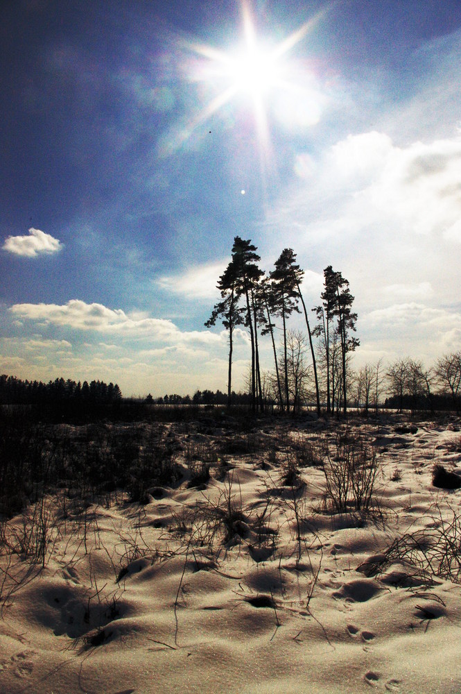 Winterlandschaft (März!)