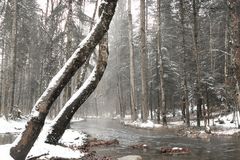 Winterlandschaft mit Bach