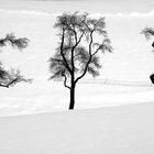 Winterlandschaft mit Bäumen