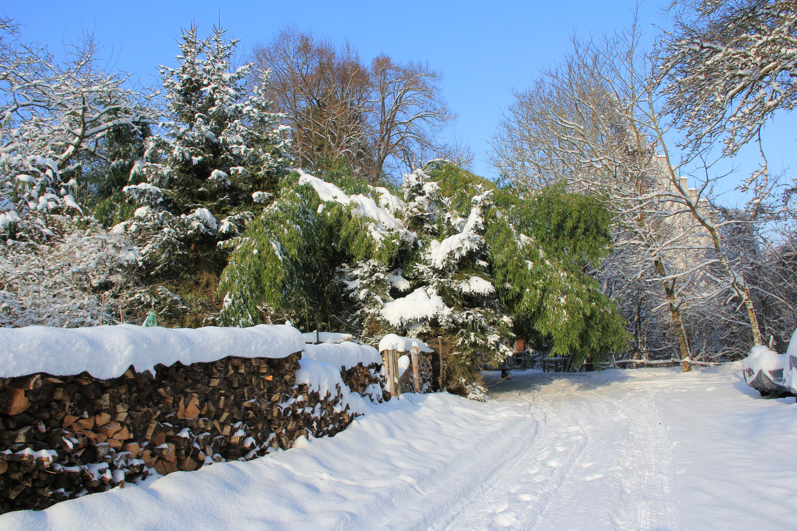 Winterlandschaft mit Bambus