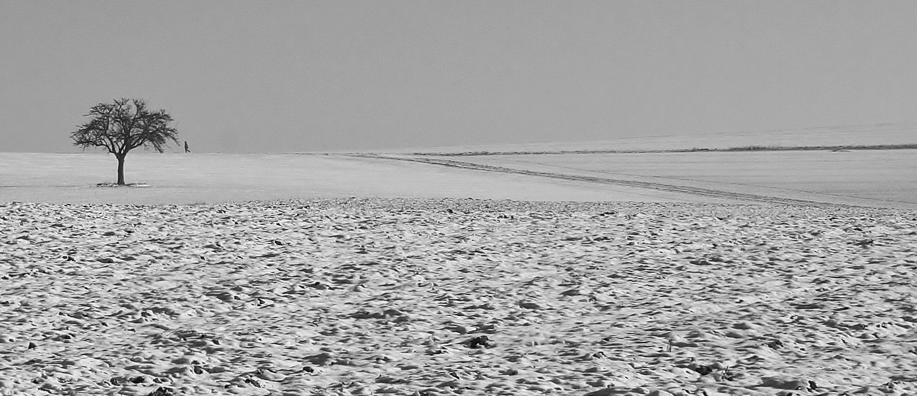 Winterlandschaft mit Baum