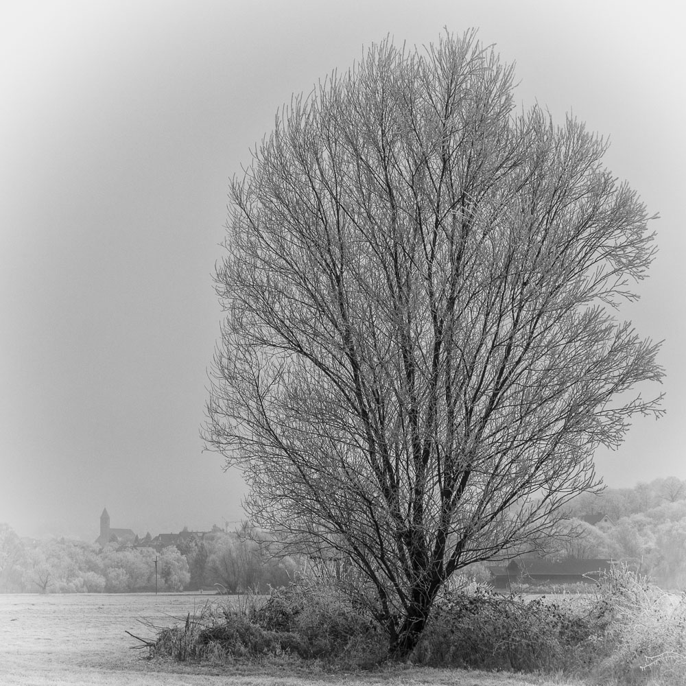 Winterlandschaft mit Blick auf Malscher Kirche St.Cyriak