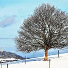 Winterlandschaft mit Burg Olbrück