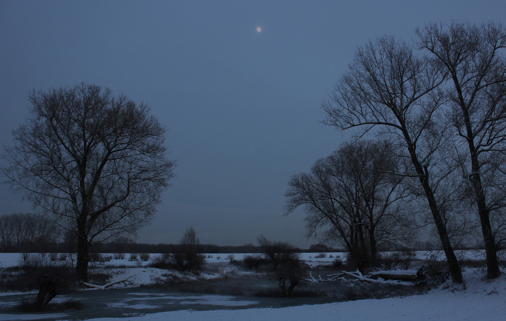 Winterlandschaft mit Mond