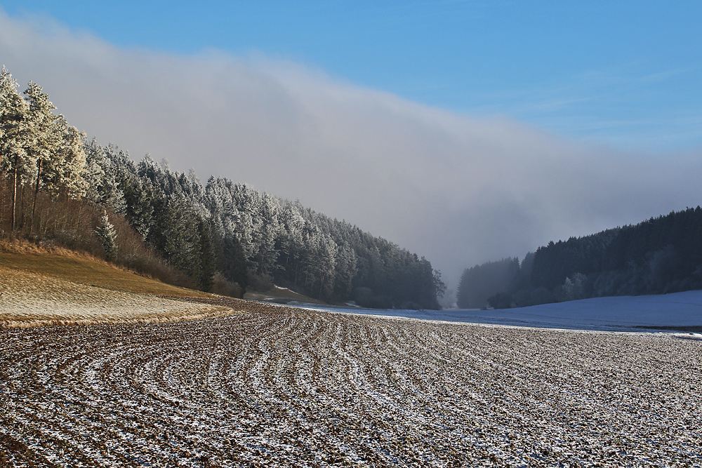 Winterlandschaft mit Raureif und Nebelstimmung