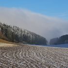 Winterlandschaft mit Raureif und Nebelstimmung