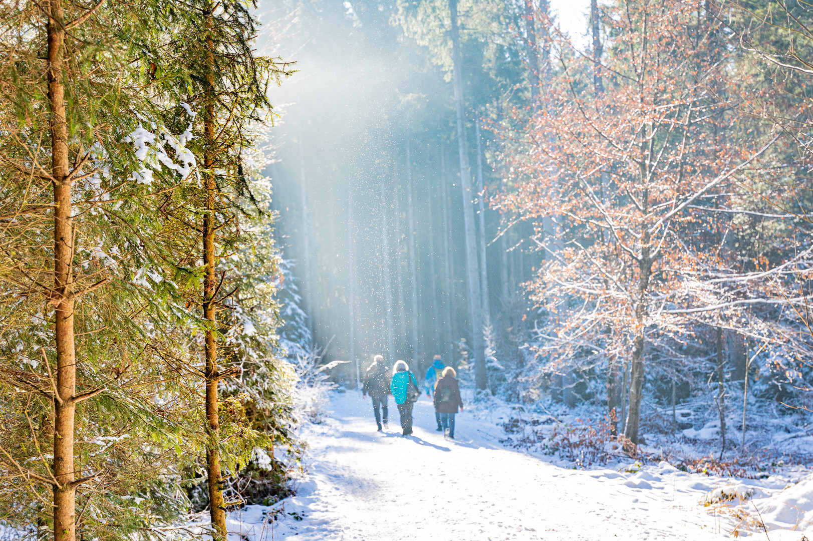 Winterlandschaft mit Reif