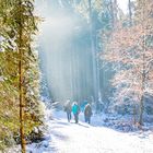 Winterlandschaft mit Reif