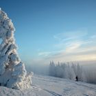 Winterlandschaft mit Schneefiguren und Wanderer