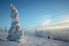 Winterlandschaft mit Schneefiguren und Wanderer