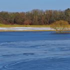 WINTERLANDSCHAFT mit Solitärbaum