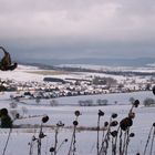 Winterlandschaft mit Sonnenblumen