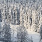 Winterlandschaft mit Sonnenschein